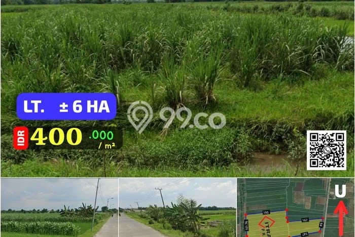 Lahan Strategis di Kemlagi Dijual dengan Luas 60000m2 Lahan Strategis di Kemlagi Dijual dengan Luas 60000m2