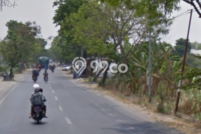 Kavling Tanah di Menganti Dijual Luas 50000m2 Legalitas SHM Kavling Tanah di Menganti Dijual Luas 50000m2 Legalitas SHM
