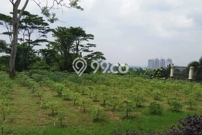 For Sale! Luxury House LT 3081m2 Desain Elegan di Sentul City For Sale! Luxury House LT 3081m2 Desain Elegan di Sentul City