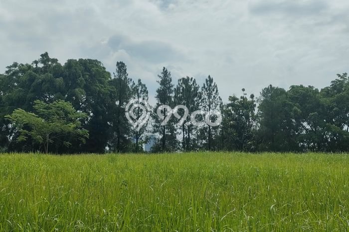 Tanah Dijual di Bogor Seluas 2132m2 Strategis Tanah Dijual di Bogor Seluas 2132m2 Strategis