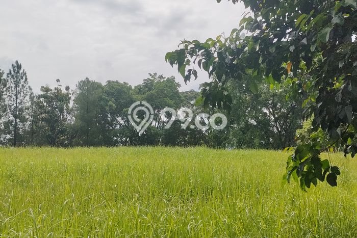 Tanah Dijual di Bogor Seluas 2132m2 Strategis Tanah Dijual di Bogor Seluas 2132m2 Strategis