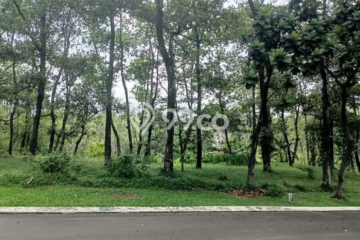 Tanah Kavling Dijual di Sentul City, Bogor dengan Luas Tanah 507m2 Tanah Kavling Dijual di Sentul City, Bogor dengan Luas Tanah 507m2