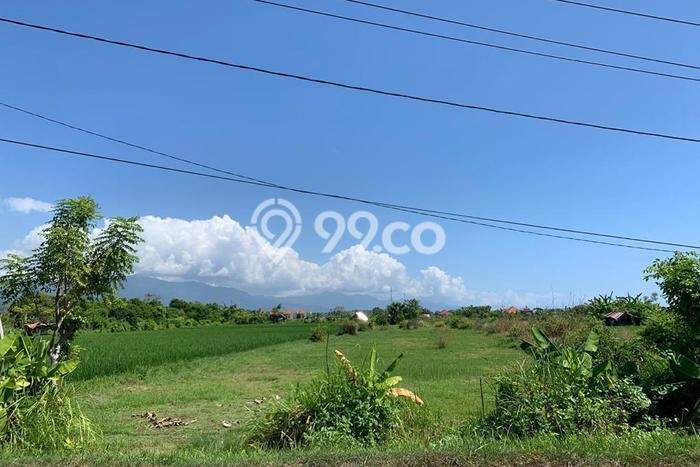 Jual Tanah Lokasi Strategis Kawasan Buleleng, Luas 2900m², Akses Buleleng, Buleleng, Buleleng Jual Tanah Lokasi Strategis Kawasan Buleleng, Luas 2900m², Akses Buleleng, Buleleng, Buleleng