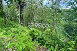 Dijual Tanah di Tampaksiring, Luas 8200m², Akses Tampaksiring, Gianyar, Gianyar Dijual Tanah di Tampaksiring, Luas 8200m², Akses Tampaksiring, Gianyar, Gianyar
