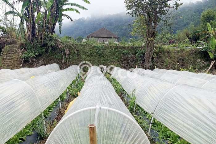 Dijual Tanah di Tabanan, Luas 400m2 SHM Dijual Tanah di Tabanan, Luas 400m2 SHM