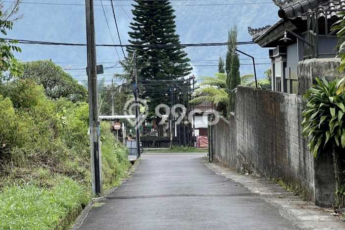 Dijual Tanah Area Berkembang di Bedugul, Luas 900m², Akses Bedugul, Tabanan, Tabanan Dijual Tanah Area Berkembang di Bedugul, Luas 900m², Akses Bedugul, Tabanan, Tabanan