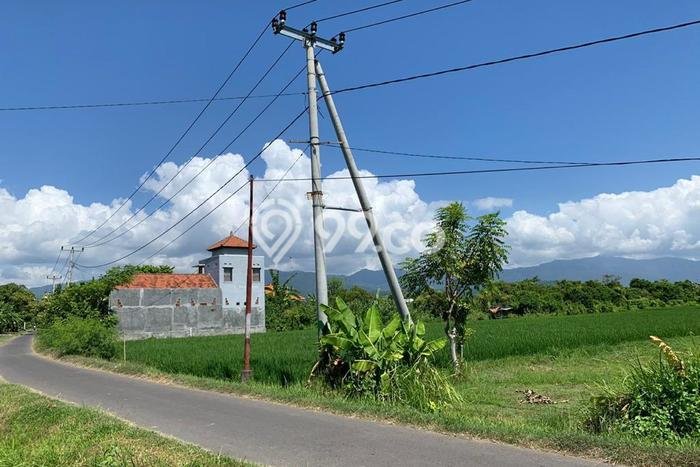 Jual Tanah Lokasi Strategis Kawasan Buleleng, Luas 2900m², Akses Buleleng, Buleleng, Buleleng Jual Tanah Lokasi Strategis Kawasan Buleleng, Luas 2900m², Akses Buleleng, Buleleng, Buleleng