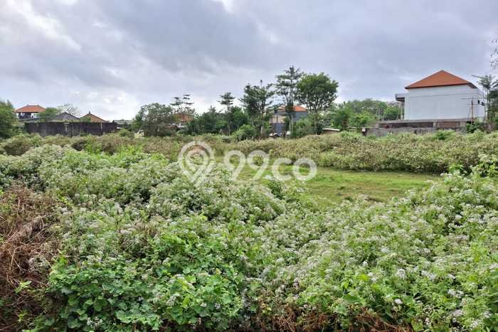 Tanah Investasi Dijual di Badung Punya Luas 335m2 Tanah Investasi Dijual di Badung Punya Luas 335m2