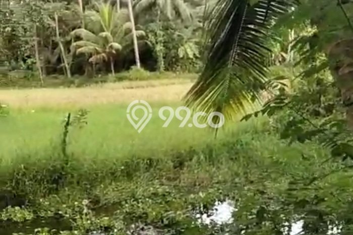 Jarang Ada! Tanah di Cijulang Punya Luas 200m2 - Jarang Ada! Tanah di Cijulang Punya Luas 200m2 -