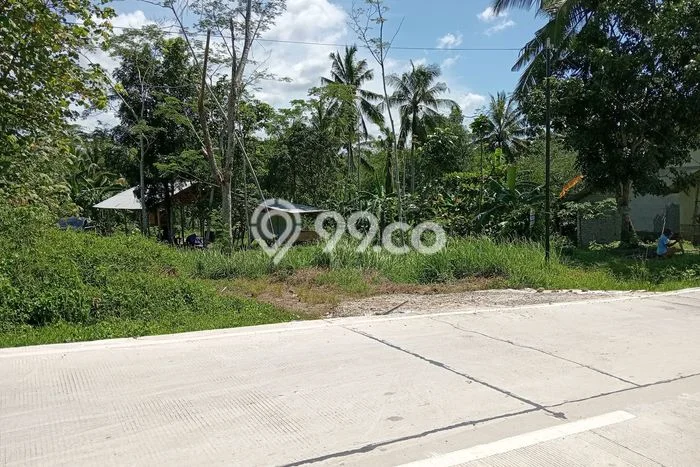 Jarang Ada! Tanah di Bayah Punya Luas 15774m2 - Jarang Ada! Tanah di Bayah Punya Luas 15774m2 -