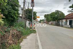 Jarang Ada! Tanah di Bayah Punya Luas 300m2 SHM Jarang Ada! Tanah di Bayah Punya Luas 300m2 SHM