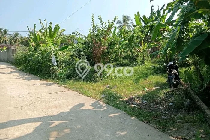 Tanah untuk Dijual di Bayah Lebak Luas 764m2 Tanah untuk Dijual di Bayah Lebak Luas 764m2