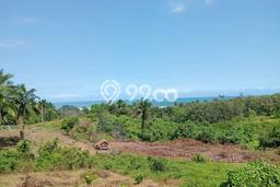Tanah Dijual Lokasi Panggarangan, Lebak Luas 250000m2 Legalitas Aman Tanah Dijual Lokasi Panggarangan, Lebak Luas 250000m2 Legalitas Aman