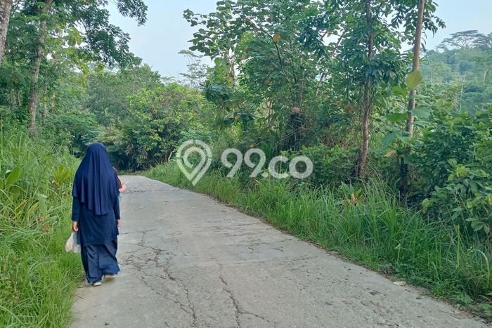 Lahan Kosong Dijual di Panggarangan, Lebak, Luas 8605m2 Area Strategis Lahan Kosong Dijual di Panggarangan, Lebak, Luas 8605m2 Area Strategis