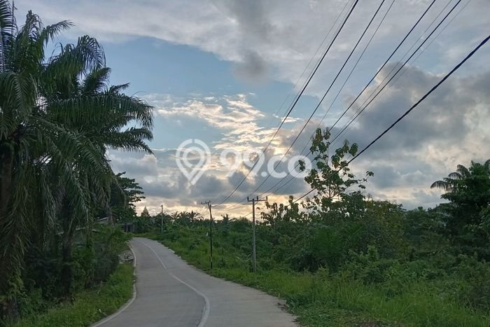 Lahan Strategis di Bayah Dijual dengan Luas 7143m2 Lahan Strategis di Bayah Dijual dengan Luas 7143m2