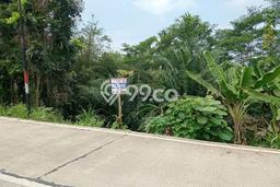 Tanah Komersial Dijual di Bayah Lebak 500m2 Tanah Komersial Dijual di Bayah Lebak 500m2