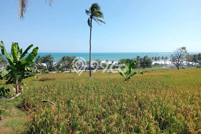 Untuk Dijual Tanah di Bayah Lebak Luas 56000m2 SHM Untuk Dijual Tanah di Bayah Lebak Luas 56000m2 SHM