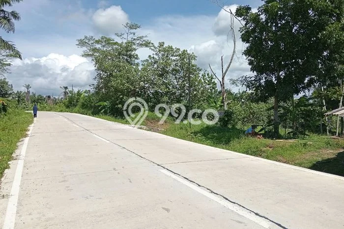 Jarang Ada! Tanah di Bayah Punya Luas 15774m2 - Jarang Ada! Tanah di Bayah Punya Luas 15774m2 -