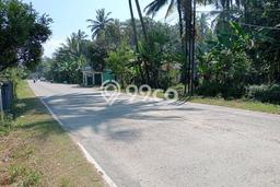 Kavling Tanah Dijual di Bayah, Lebak, Luas 2280m2 Area Strategis Kavling Tanah Dijual di Bayah, Lebak, Luas 2280m2 Area Strategis