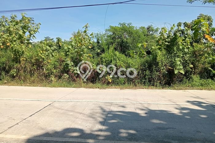 Tanah Kavling di Panggarangan Dijual dengan Luas 2000m2 Tanah Kavling di Panggarangan Dijual dengan Luas 2000m2