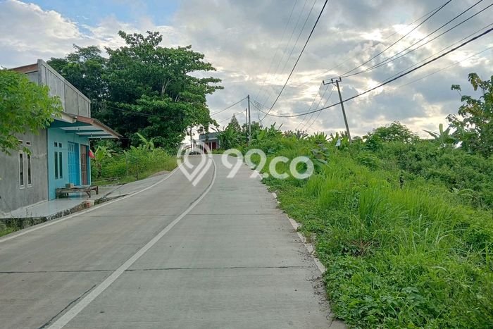 Lahan Strategis di Bayah Dijual dengan Luas 7143m2 Lahan Strategis di Bayah Dijual dengan Luas 7143m2