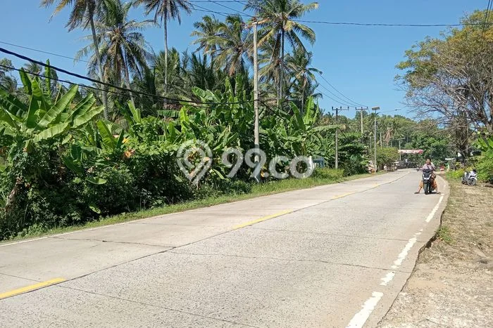 Untuk Dijual Tanah di Bayah Lebak Luas 56000m2 SHM Untuk Dijual Tanah di Bayah Lebak Luas 56000m2 SHM