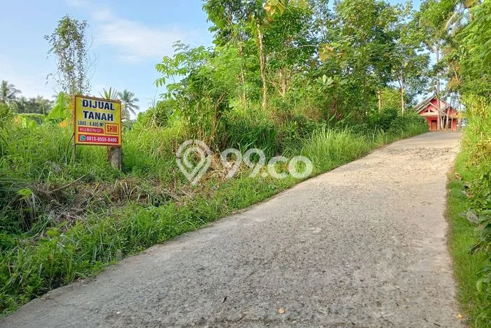 Kavling Tanah di Bayah Dijual Luas 8605m2 Legalitas SHM Kavling Tanah di Bayah Dijual Luas 8605m2 Legalitas SHM