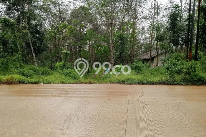 Tanah untuk Dijual Lokasi Cileles, Lebak Luas 50000m2 SHM Tanah untuk Dijual Lokasi Cileles, Lebak Luas 50000m2 SHM