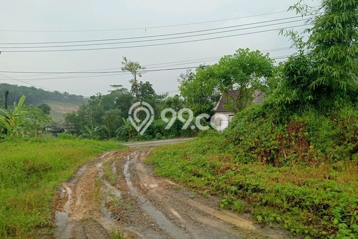 Lahan Kosong Dijual di Cileles, Lebak, Luas 2e+06m2 Area Strategis Lahan Kosong Dijual di Cileles, Lebak, Luas 2e+06m2 Area Strategis