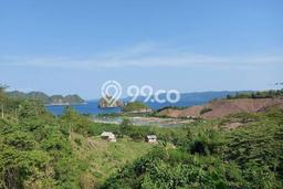 Dijual Tanah di Pringsewu Pringsewu Luas 250000m2 SHM Dijual Tanah di Pringsewu Pringsewu Luas 250000m2 SHM