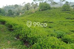 Lahan Kosong Dijual di Cianjur, Cianjur, Luas 1.673e+07m2 Area Strategis Lahan Kosong Dijual di Cianjur, Cianjur, Luas 1.673e+07m2 Area Strategis