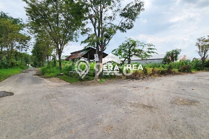 Lahan Kosong Dijual di Sragen dengan Area 2000m2 Lahan Kosong Dijual di Sragen dengan Area 2000m2