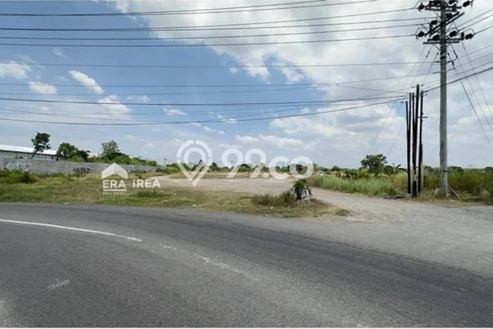 Tanah Dijual Lokasi Juwiring, Klaten Luas 13527m2 Legalitas Aman Tanah Dijual Lokasi Juwiring, Klaten Luas 13527m2 Legalitas Aman