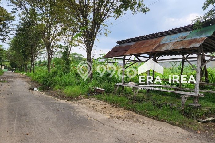 Lahan Kosong Dijual di Sragen dengan Area 2000m2 Lahan Kosong Dijual di Sragen dengan Area 2000m2