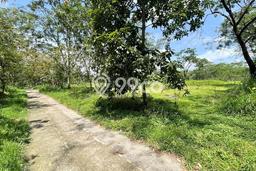 Tanah Kosong Dijual di Boyolali dengan Area 1967m2 Tanah Kosong Dijual di Boyolali dengan Area 1967m2