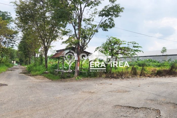Lahan Kosong Dijual di Sragen dengan Area 2000m2 Lahan Kosong Dijual di Sragen dengan Area 2000m2