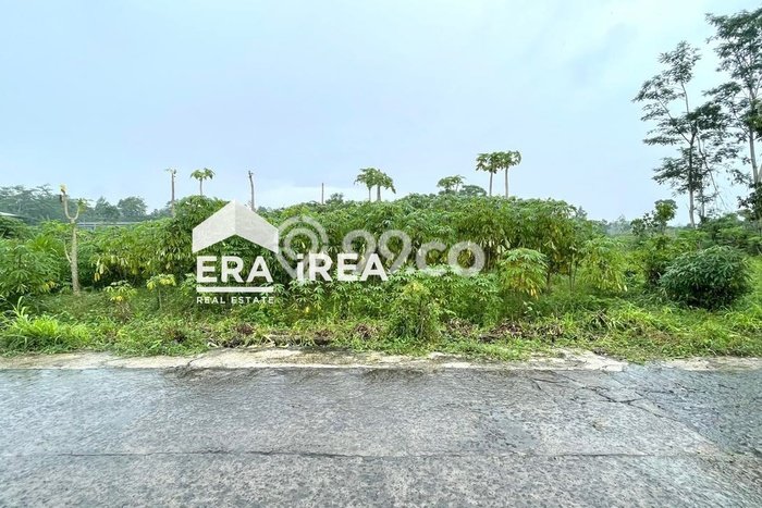 Tanah untuk Dijual di Teras Boyolali Luas 1000m2 Tanah untuk Dijual di Teras Boyolali Luas 1000m2