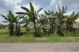 Tanah Dijual Lokasi Mojolaban, Sukoharjo Luas 285m2 Legalitas Aman Tanah Dijual Lokasi Mojolaban, Sukoharjo Luas 285m2 Legalitas Aman