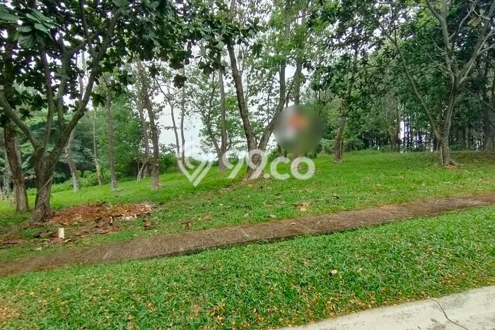Tanah Investasi Dijual di Bogor Punya Luas 2m2 Tanah Investasi Dijual di Bogor Punya Luas 2m2