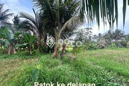 Kavling Tanah Dijual di Carita Pandeglang Spesifikasi 43800m2 Kavling Tanah Dijual di Carita Pandeglang Spesifikasi 43800m2
