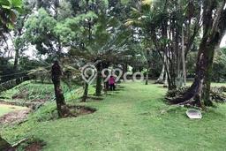 Tanah Investasi Dijual di Bogor Punya Luas 21472m2 Tanah Investasi Dijual di Bogor Punya Luas 21472m2
