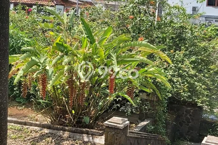 Rumah Mewah Siap Huni LT 1998m2 di Bandung Wetan, Bandung Rumah Mewah Siap Huni LT 1998m2 di Bandung Wetan, Bandung