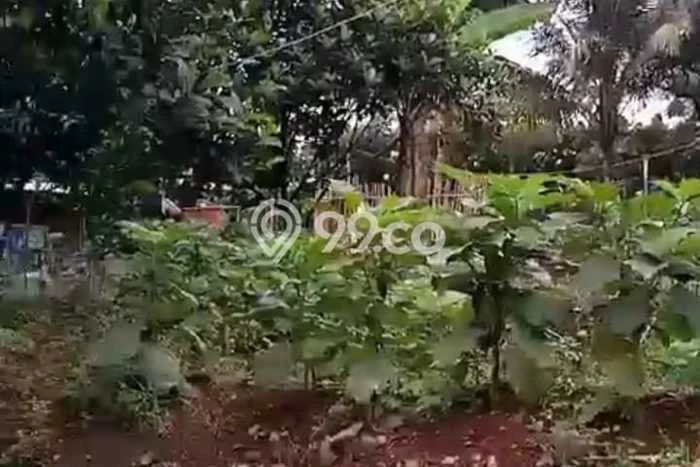 Tanah untuk Dijual Lokasi Ciampea, Bogor Luas 5656m2 SHM Tanah untuk Dijual Lokasi Ciampea, Bogor Luas 5656m2 SHM