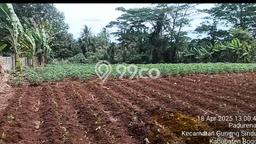 Lahan Dijual Lokasi Gunung Sindur, Bogor dengan Luas Tanah 1200m2 dan Status - Lahan Dijual Lokasi Gunung Sindur, Bogor dengan Luas Tanah 1200m2 dan Status -