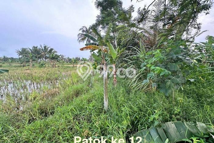 Kavling Tanah Dijual di Carita Pandeglang Spesifikasi 43800m2 Kavling Tanah Dijual di Carita Pandeglang Spesifikasi 43800m2