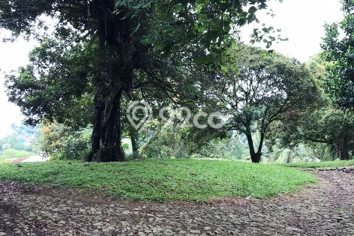 Tanah Kavling Dijual di Bogor dengan Spesifikasi 21427m2 Tanah Kavling Dijual di Bogor dengan Spesifikasi 21427m2