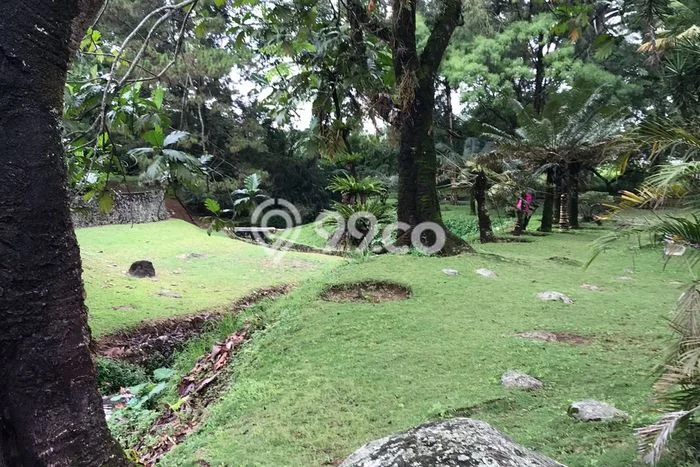Untuk Dijual Tanah 21427m2 di Puncak, Bogor Untuk Dijual Tanah 21427m2 di Puncak, Bogor