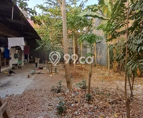 Hunian Mewah LB 100m2 Siap Pakai Desain Elegan di Klender, Jakarta Timur Hunian Mewah LB 100m2 Siap Pakai Desain Elegan di Klender, Jakarta Timur