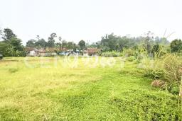 Tanah untuk Dijual di Pamijahan Bogor Luas 80000m2 Tanah untuk Dijual di Pamijahan Bogor Luas 80000m2