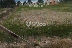 Tanah Kavling di Pangururan Dijual dengan Luas 4049m2 Tanah Kavling di Pangururan Dijual dengan Luas 4049m2